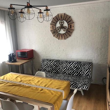클루지나포카 Apartament Dorobanti 아파트 외부 사진